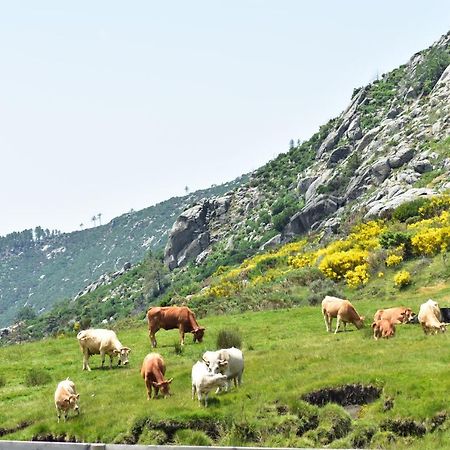 Casa Ruben Dario Leilighet Villarejo del Valle Eksteriør bilde